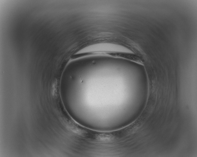 X0000068730073200605011010