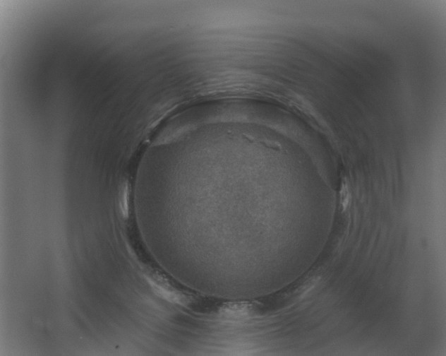 X0000068730076200605011010