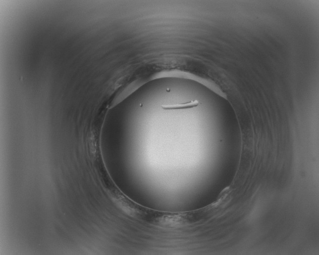 X0000068730086200605011010