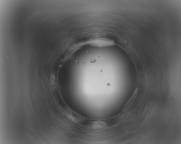 X0000068730087200605011010