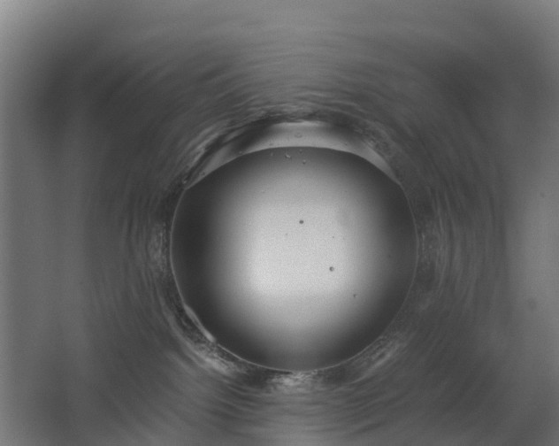 X0000068730092200605011010