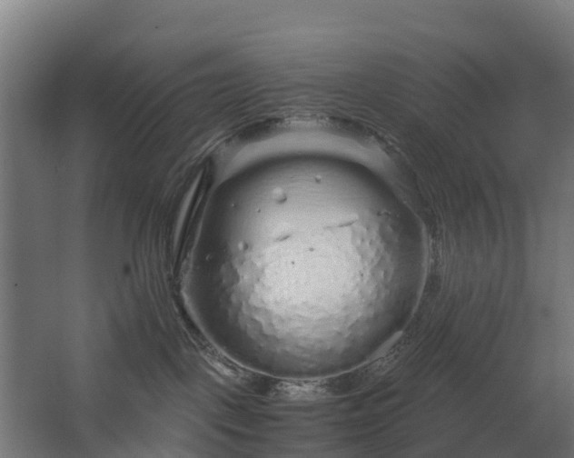 X0000068730093200605011010