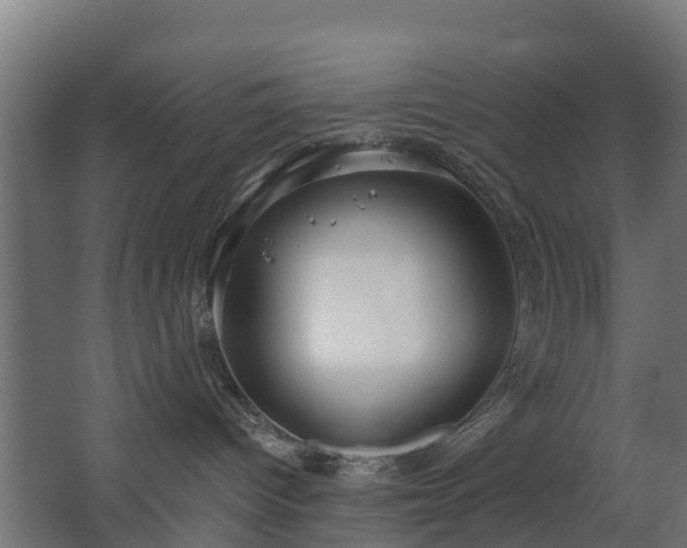 X0000068730096200605011010