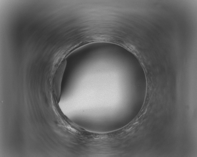 X0000068730097200605011010