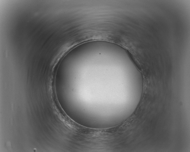 X0000068730098200605011010