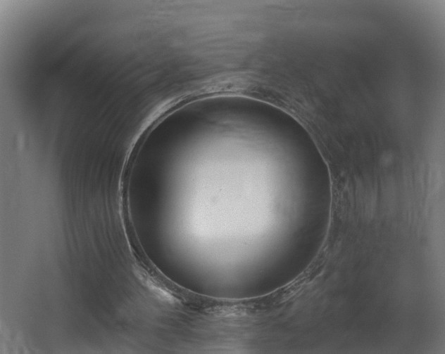 X0000068730100200605011010