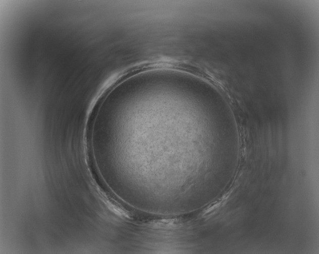 X0000068730102200605011010