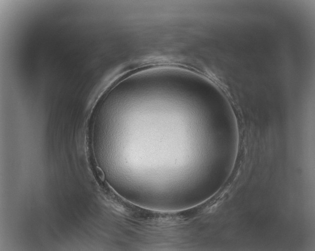 X0000068730103200605011010