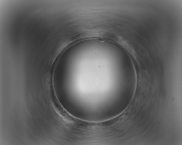 X0000068730107200605011009