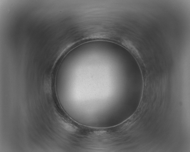 X0000068730108200605011009