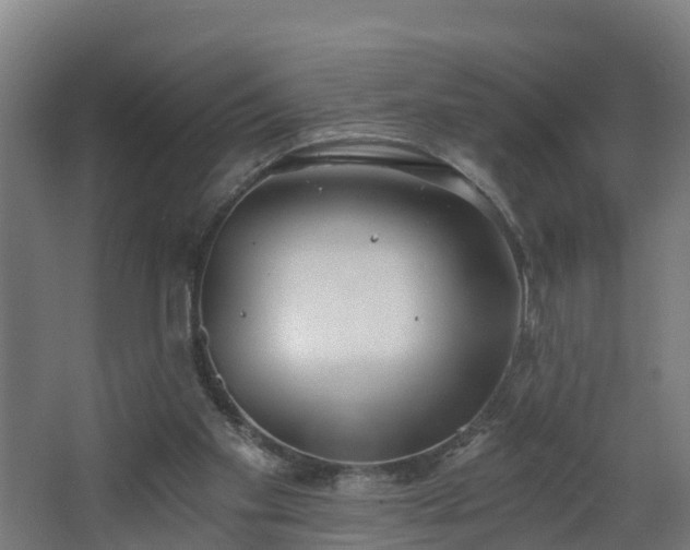 X0000068730109200605011009