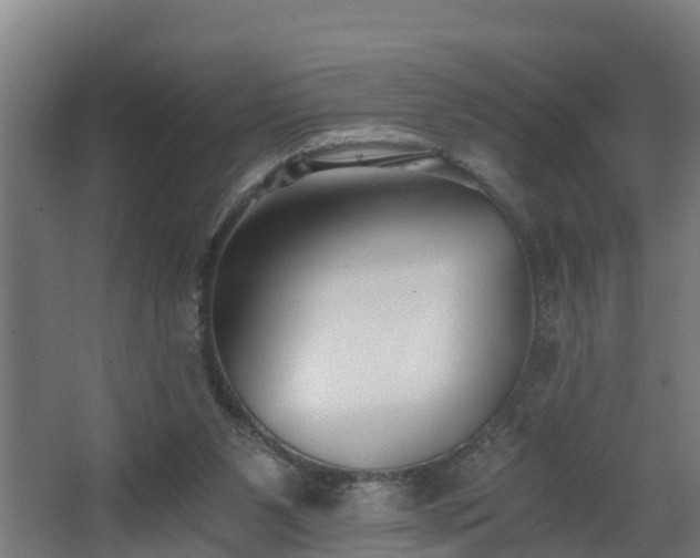 X0000068730111200605011009