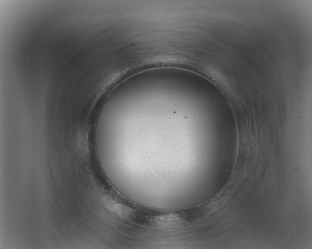 X0000068730112200605011009