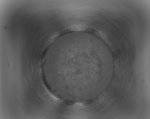 X0000068730114200605011009