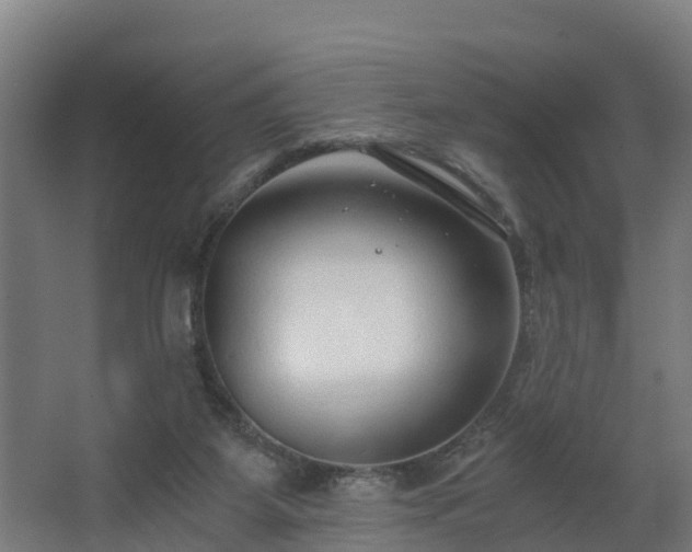 X0000068730115200605011009