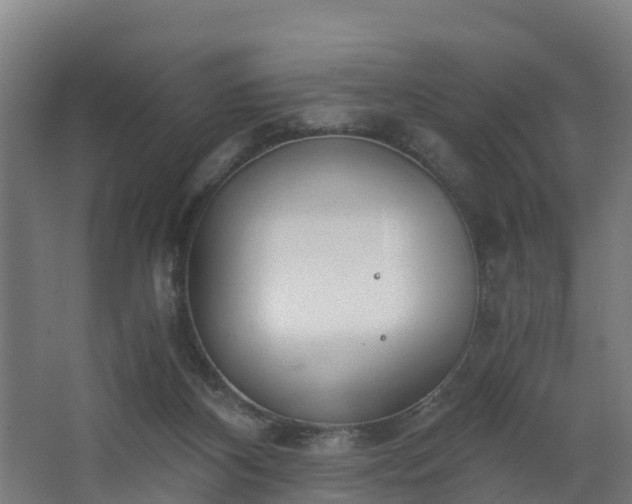 X0000068730116200605011009