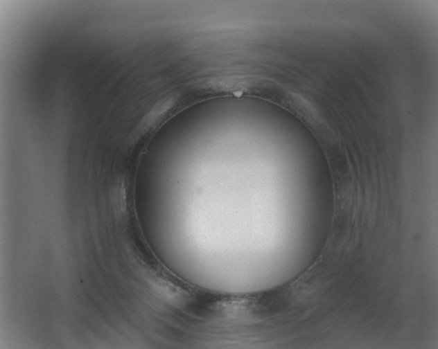 X0000068730120200605011009