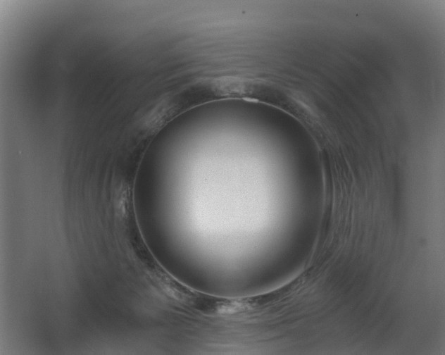 X0000068730125200605011009