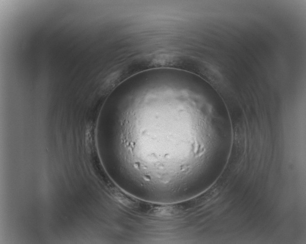 X0000068730127200605011009