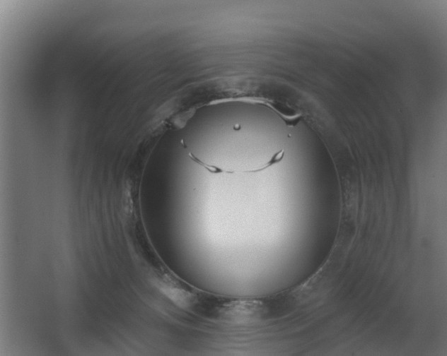 X0000068730128200605011009