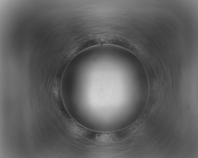 X0000068730129200605011009