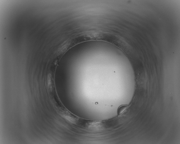 X0000068730132200605011009