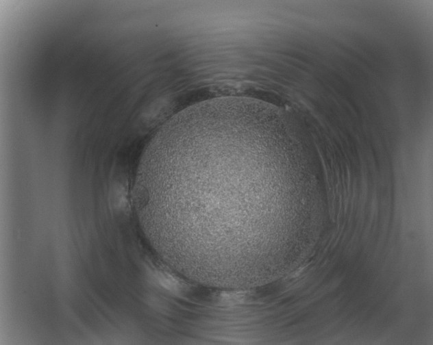 X0000068730134200605011009