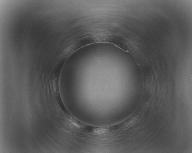 X0000068730139200605011009