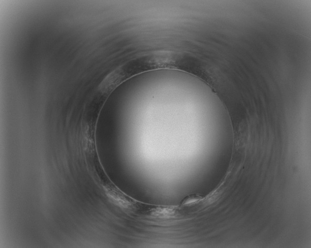 X0000068730140200605011009