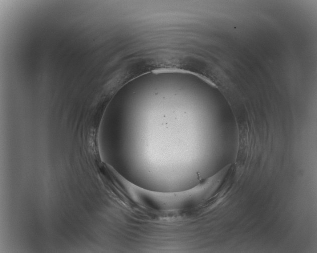 X0000068730141200605011009