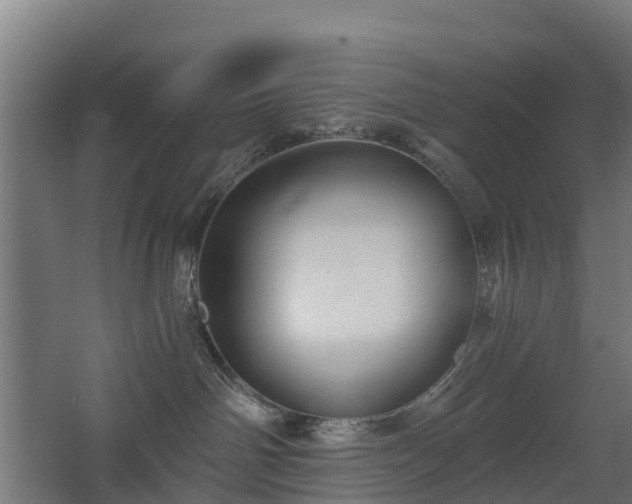 X0000068730142200605011009