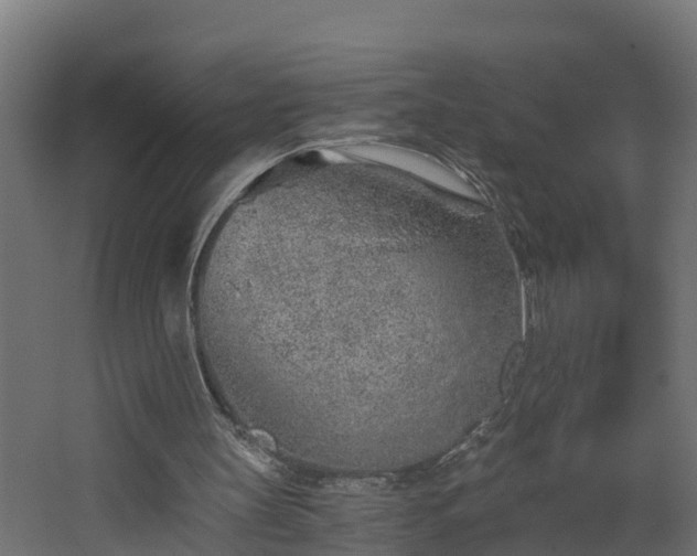 X0000068730147200605011008