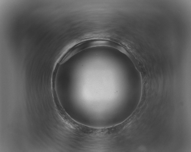 X0000068730148200605011008