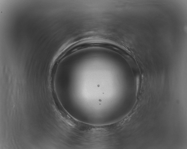 X0000068730150200605011008