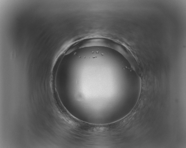 X0000068730152200605011008