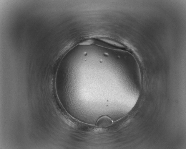 X0000068730153200605011008