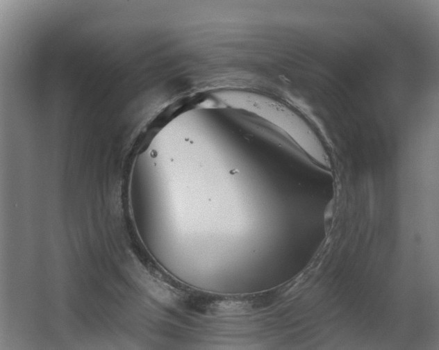 X0000068730154200605011008