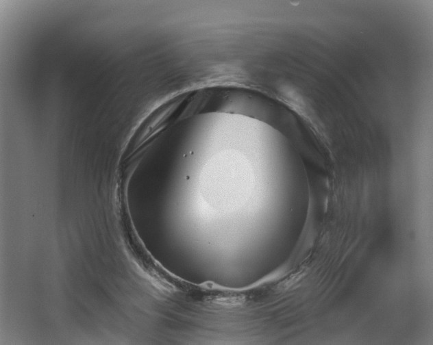 X0000068730156200605011008