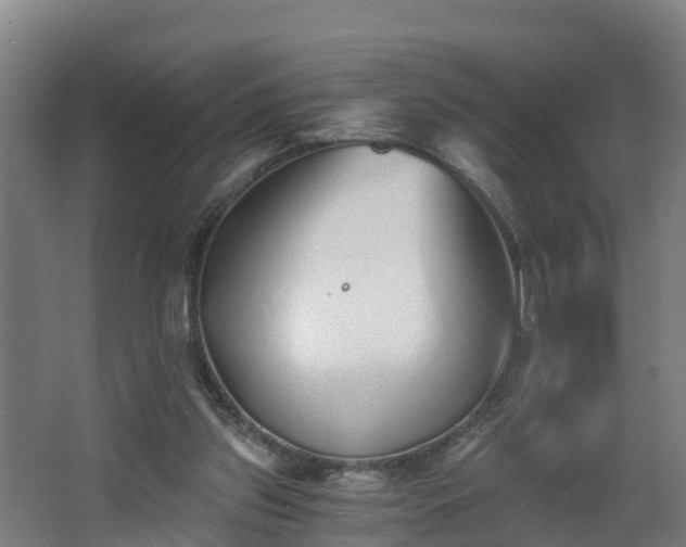 X0000068730157200605011008