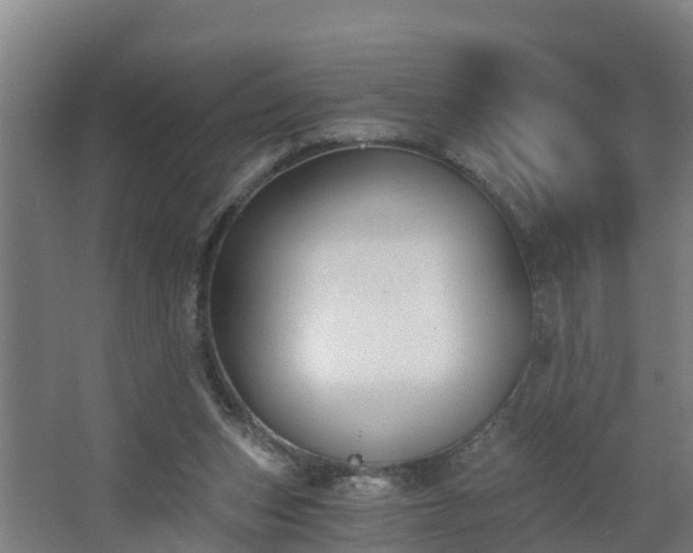 X0000068730159200605011008