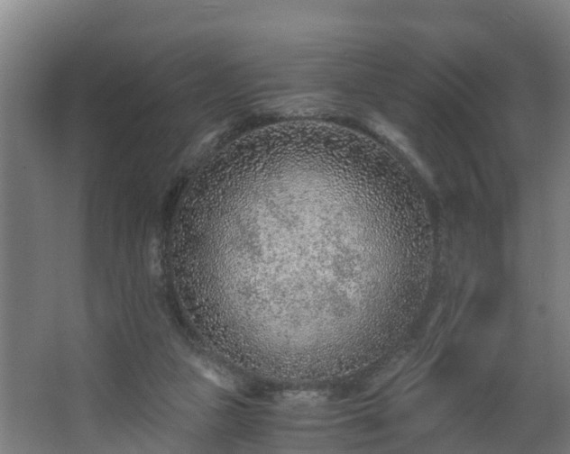 X0000068730161200605011008