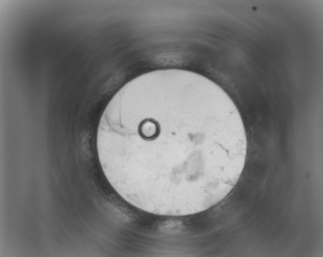 X0000068730162200605011008