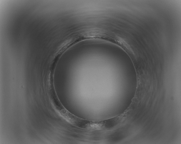 X0000068730163200605011008