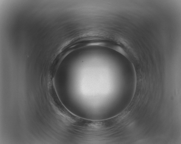 X0000068730164200605011008