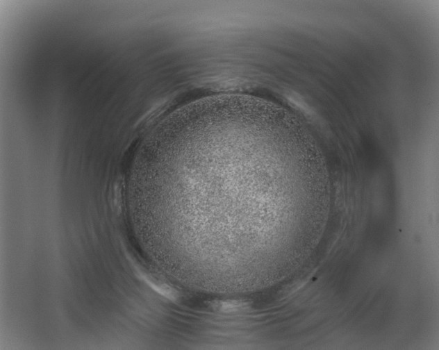 X0000068730165200605011008