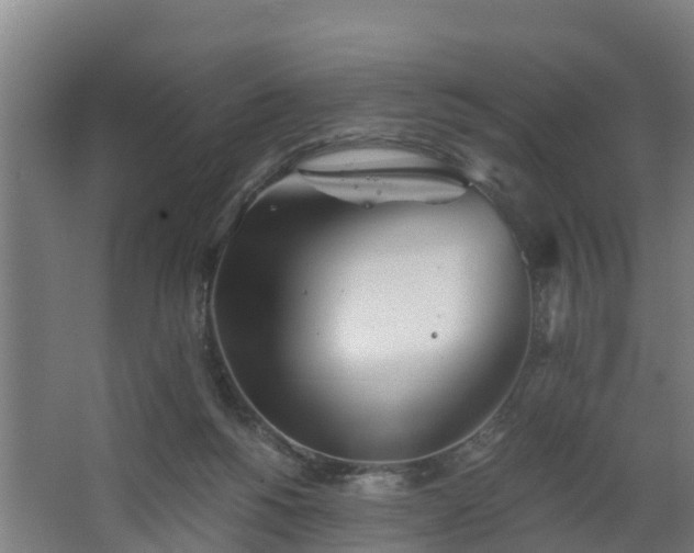 X0000068730168200605011008