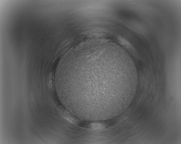 X0000068730169200605011008