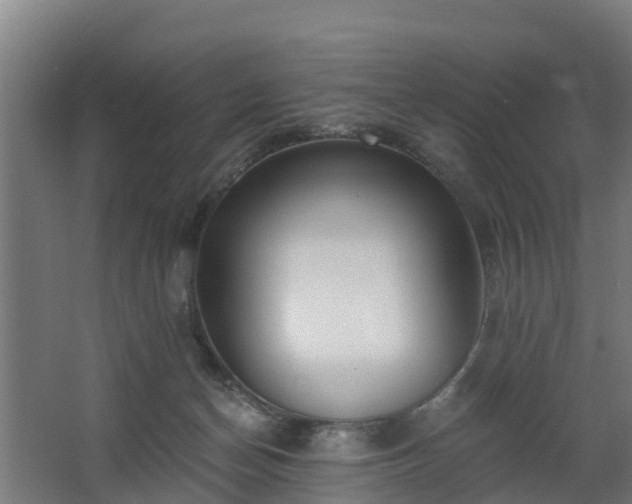 X0000068730174200605011009