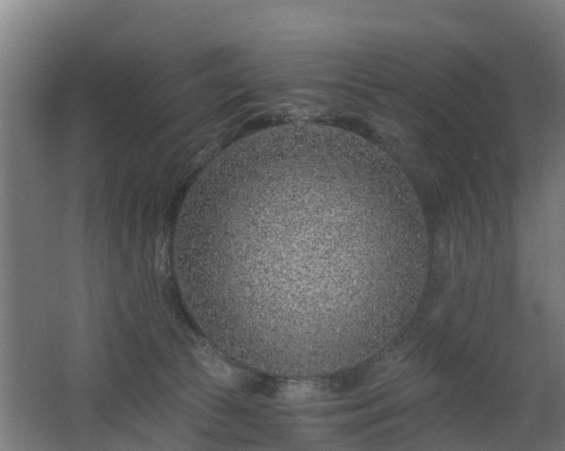 X0000068730177200605011009