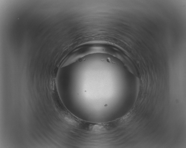 X0000068730180200605011009